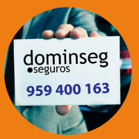 DOMINSEG SEGUROS