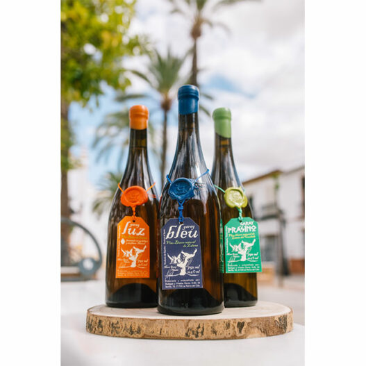 bodegas garay la palma del condado